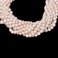 Queen Conch Shell A Grade Round 8mm-0
